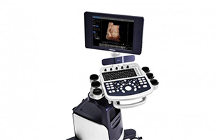 4D-ULTRASOUND